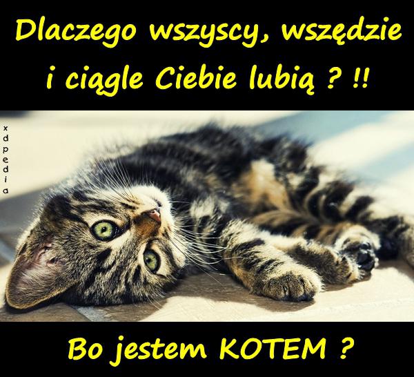 Dlaczego wszyscy, wszędzie i ciągle Ciebie lubią ? !! Bo