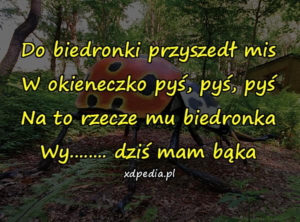 Do biedronki przyszedł mis W okieneczko pyś, pyś, pyś Na to