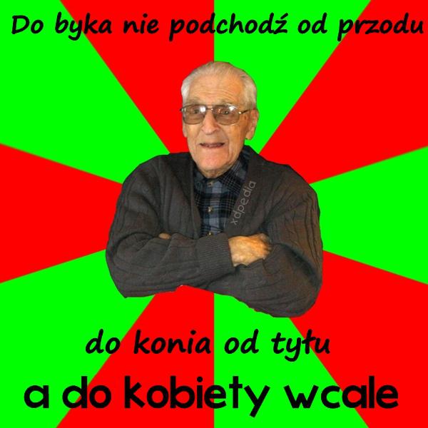 Do byka nie podchodź od przodu, do konia od tyłu, a do