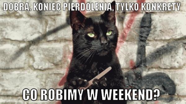 Dobra koniec pierdolenia, tylko konkrety \nco robimy weekend