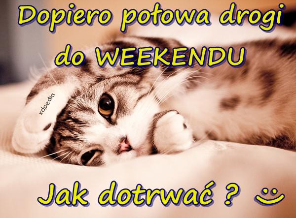 Dopiero połowa drogi do WEEKENDU :( Jak dotrwać