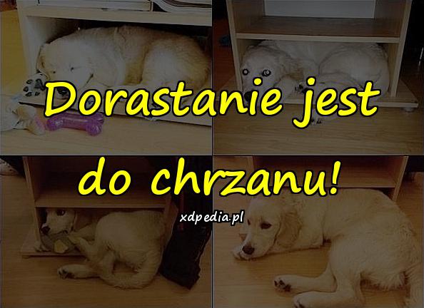 Dorastanie jest do chrzanu