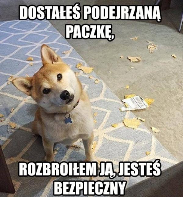 Dostałeś podejrzaną paczkę. Rozbroiłem ją, jesteś