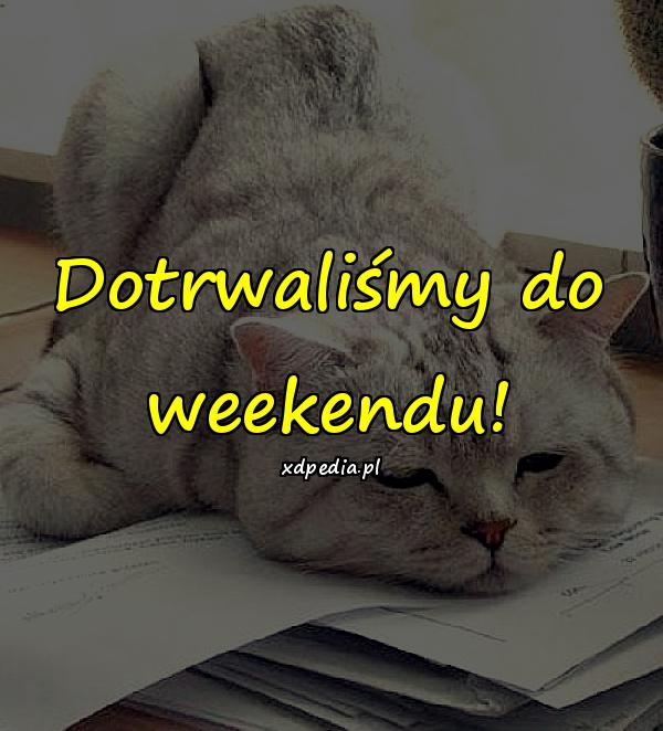 Dotrwaliśmy do weekendu