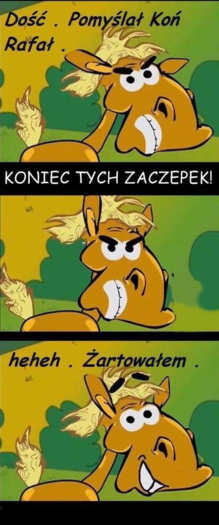 Dość pomyślał koń Rafał. Koniec tych zaczepek! heheh