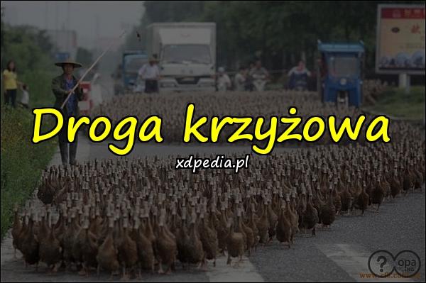 Droga krzyżowa