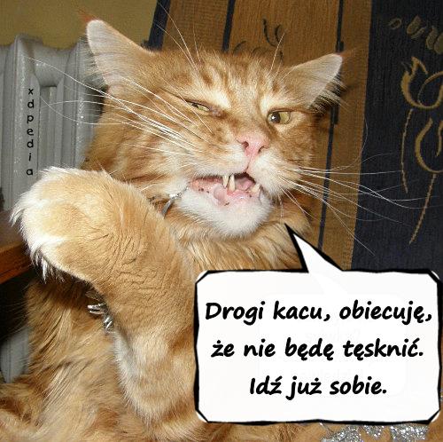 Drogi kacu, obiecuję, że nie będę tęsknić. Idź już sobie