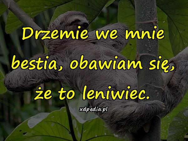 Drzemie we mnie bestia, obawiam się, że to leniwiec