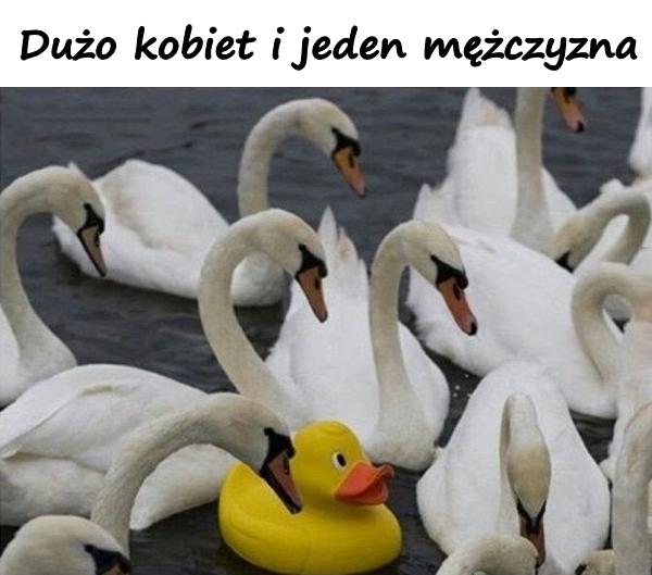 Dużo kobiet i jeden mężczyzna