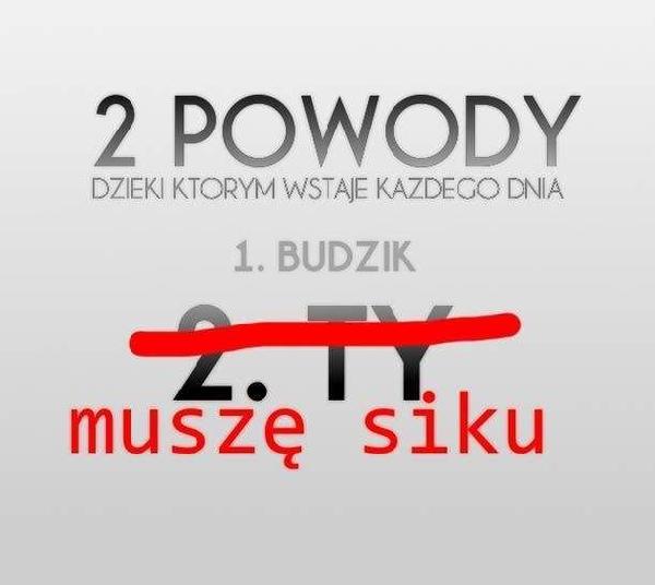 Dwa powody dzięki, którym wstaje każdego dnia: 1. budzi