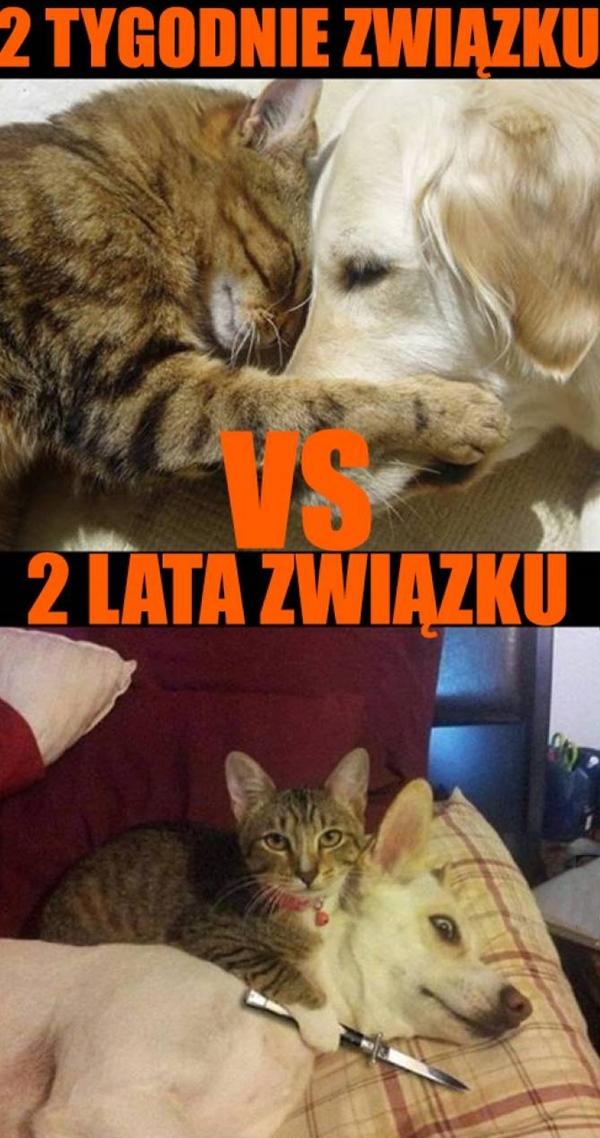 Dwa tygodnie związku i dwa lata związku