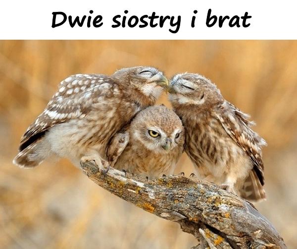 Dwie siostry i brat