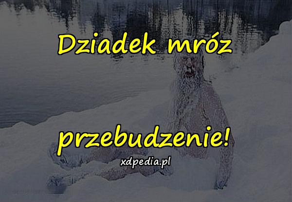 Dziadek mróz przebudzenie