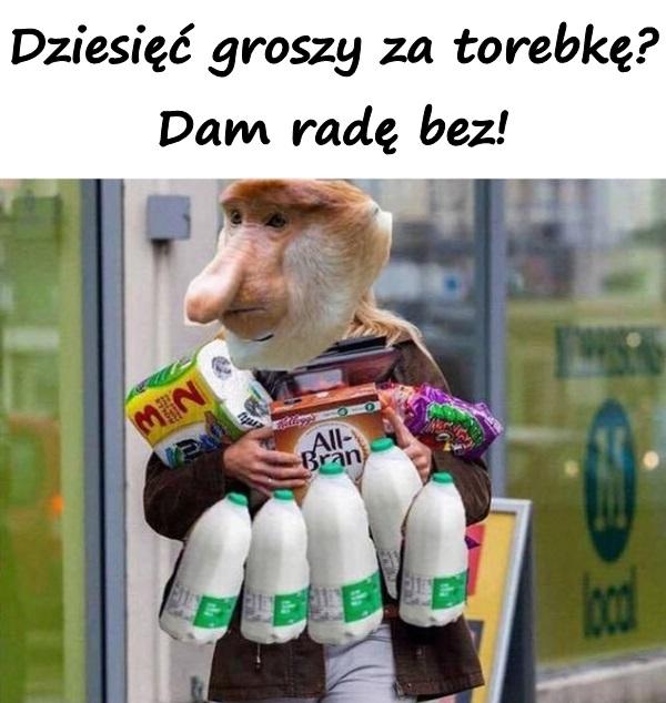 Dziesięć groszy za torebkę? Dam radę bez