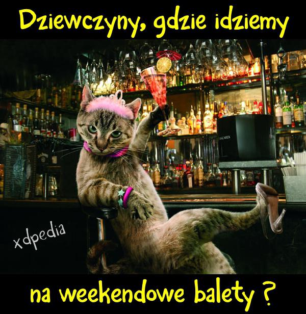 Dziewczyny, gdzie idziemy na weekendowe balety