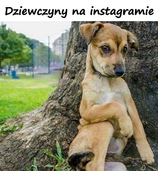 Dziewczyny na instagramie