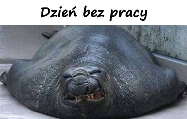 Dzień bez pracy