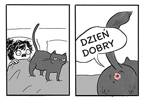 Dzień dobry