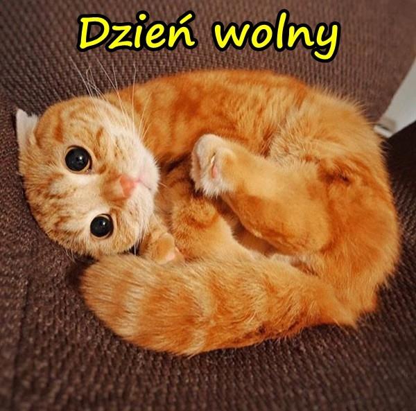 Dzień wolny