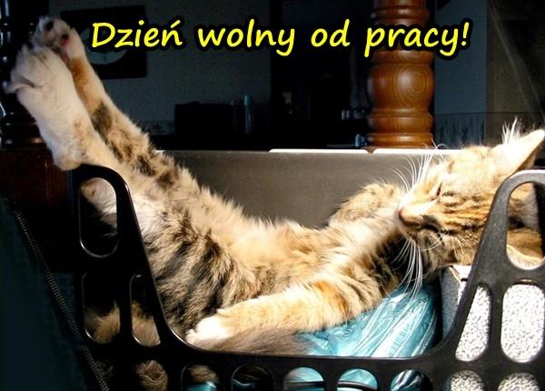 Dzień wolny od pracy