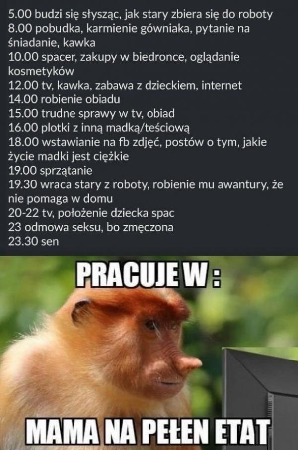 Dzień z życia Madki Polki
