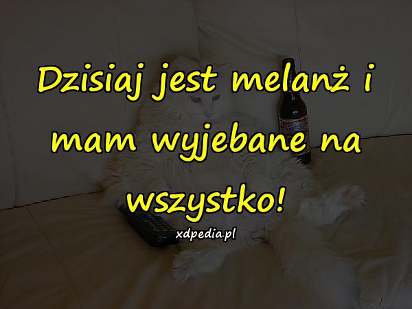 Dzisiaj jest melanż i mam wyjebane na wszystko