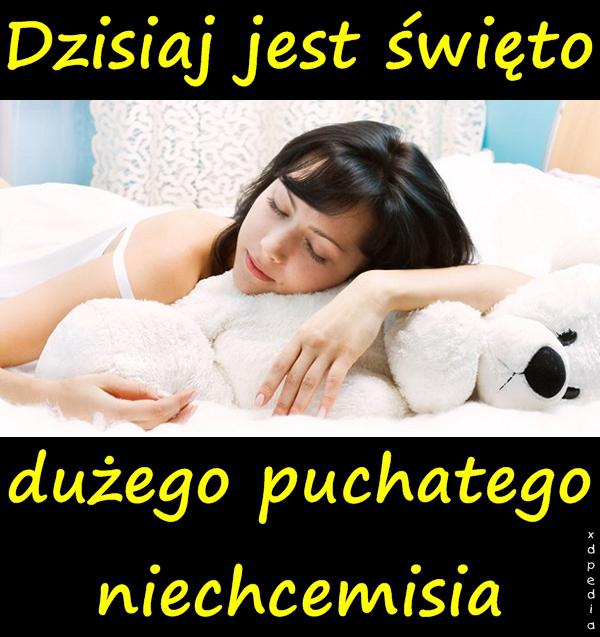 Dzisiaj jest święto dużego puchatego niechcemisia