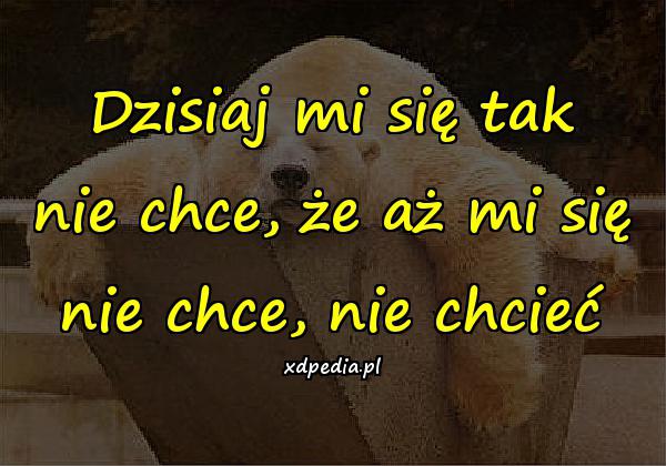 Dzisiaj mi się tak nie chce, że aż mi się nie chce, nie