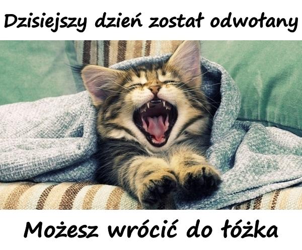 Dzisiejszy dzień został odwołany. Możesz wrócić do łóżka