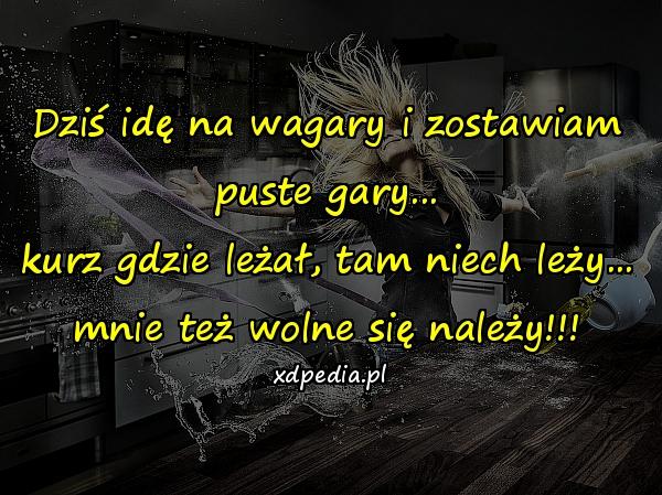 Dziś idę na wagary i zostawiam puste gary... kurz gdzie