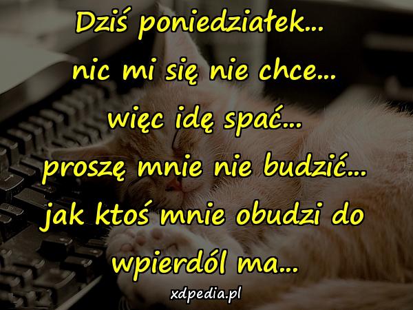 Dziś poniedziałek... \nnic mi się nie chce...\nwięc idę