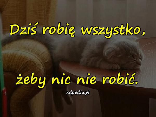 Dziś robię wszystko, żeby nic nie robić