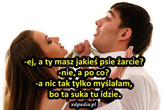 -ej, a ty masz jakieś psie żarcie? -nie, a po co? -a nic