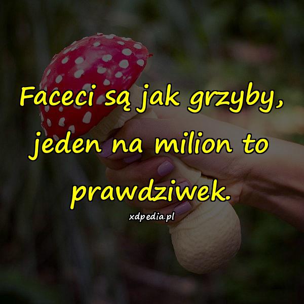 Faceci są jak grzyby, jeden na milion to prawdziwek