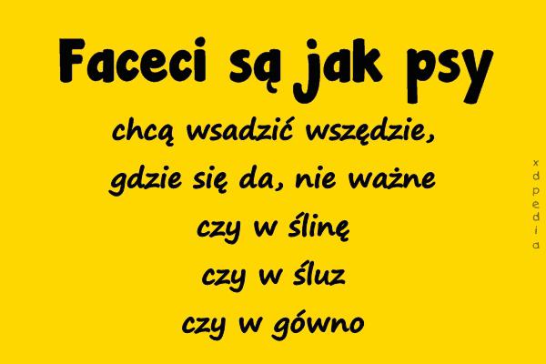 Faceci są jak psy, chcą wsadzić wszędzie, gdzie się da, nie