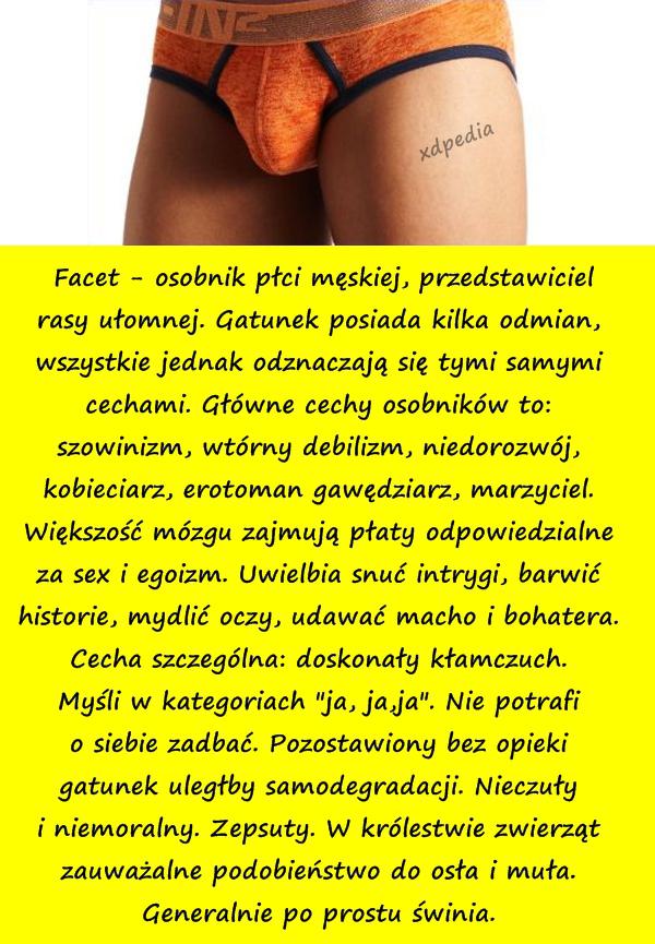 Facet - osobnik płci męskiej, przedstawiciel rasy ułomnej