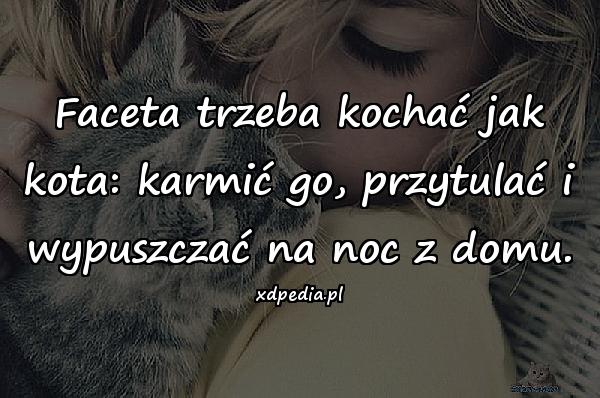 Faceta trzeba kochać jak kota: karmić go, przytulać i