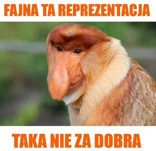 Fajna ta reprezentacja, taka nie za dobra