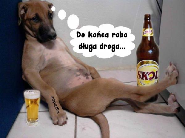 Fajrant - do końca robo długa droga