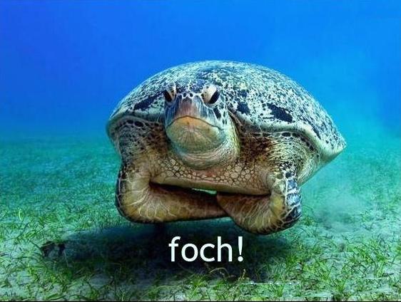 Foch, foszek, focham się