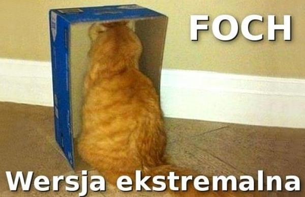 Foch, wersja ekstremalna