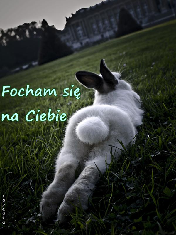 Focham się na Ciebie