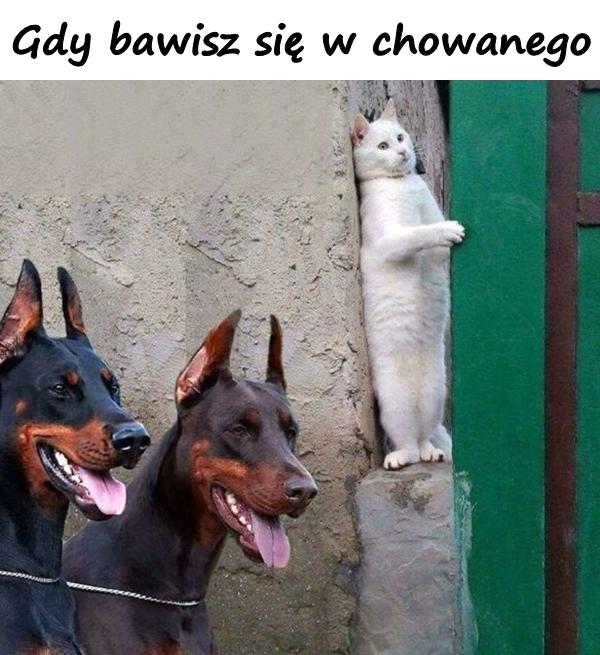 Gdy bawisz się w chowanego