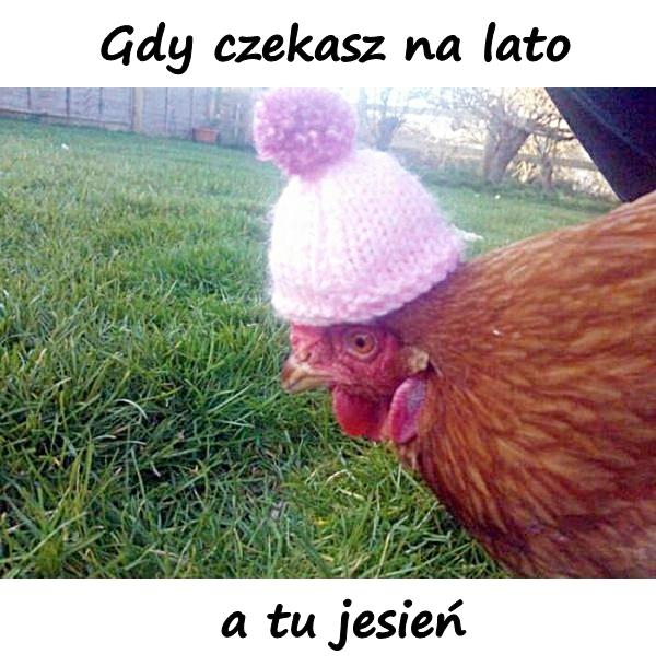 Gdy czekasz na lato, a tu jesień