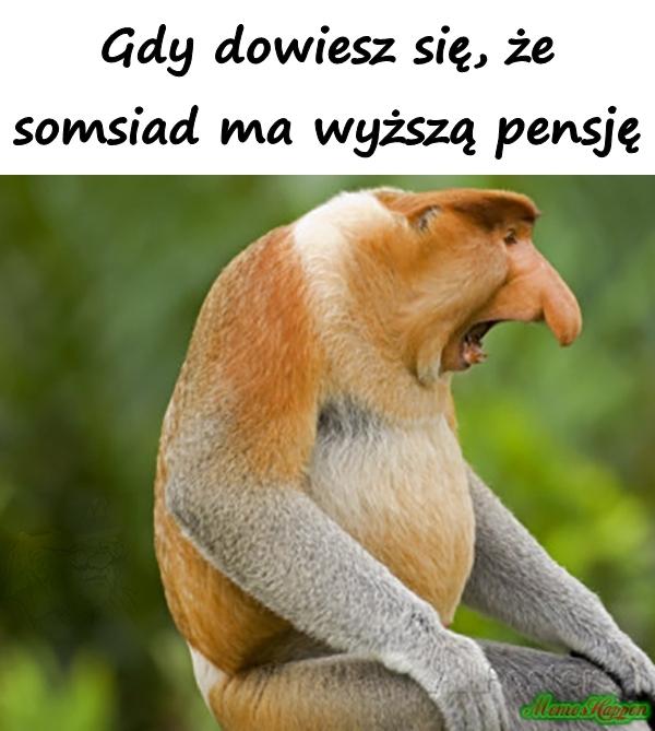 Gdy dowiesz się, że somsiad ma wyższą pensję