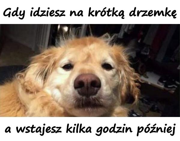 Gdy idziesz na krótką drzemkę a wstajesz kilka godzin