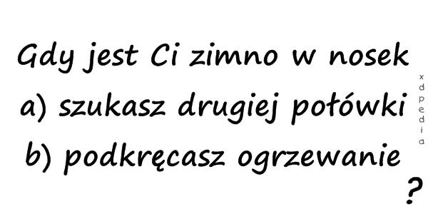 Gdy jest Ci zimno w nosek a) szukasz drugiej połówki b