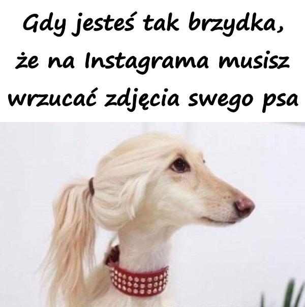 Gdy jesteś tak brzydka, że na Instagrama musisz wrzucać