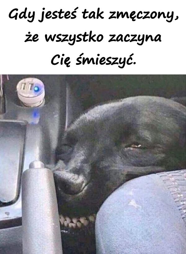 Gdy jesteś tak zmęczony, że wszystko zaczyna Cię śmieszyć