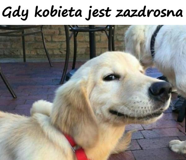 Gdy kobieta jest zazdrosna